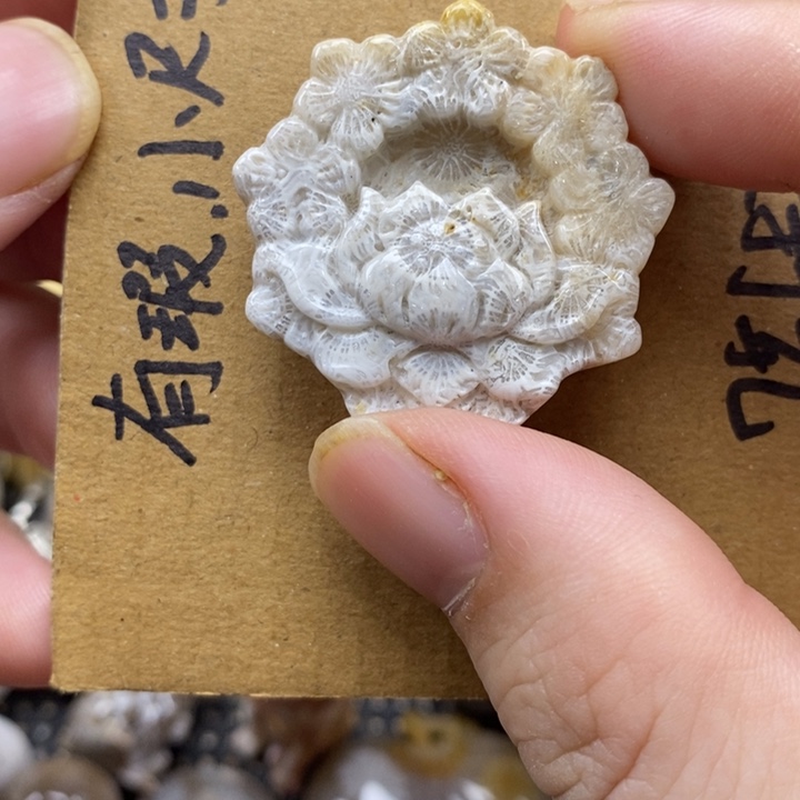 颈饰未镶嵌硅化珊瑚（珊瑚玉）