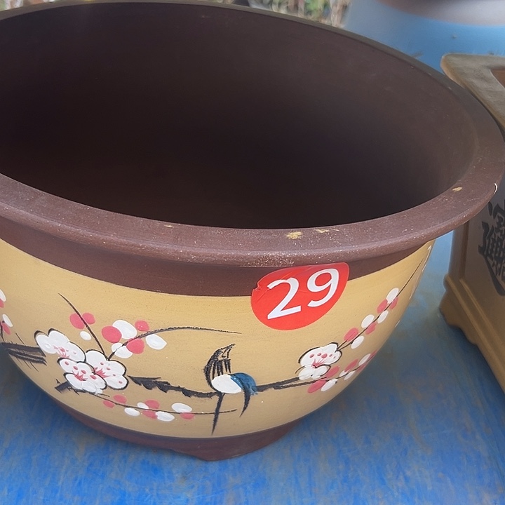 用***1005大花盆花盆花盆花盆花盆