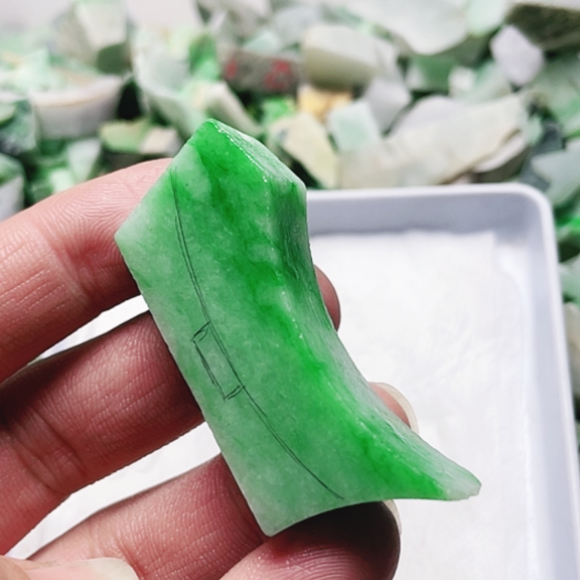 【闪购商品】翡翠颈饰未镶嵌A货