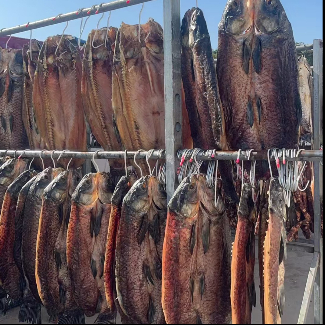 野生大青鱼咸青鱼风干咸鱼腊味