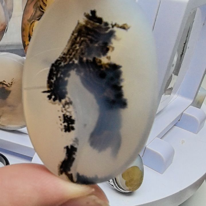 非金属时尚饰品24
