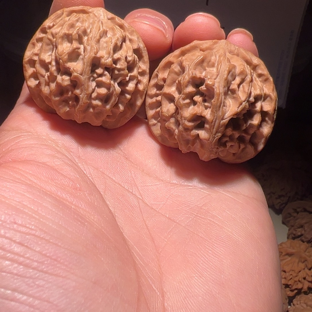 文玩核桃把件39尺全品苹果园