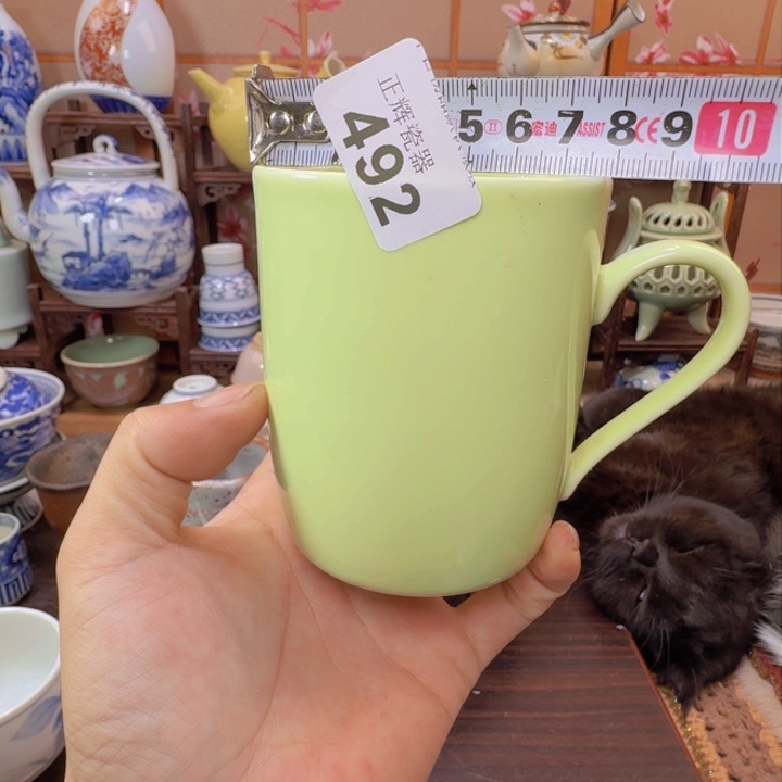 碗492啊啊啊啊啊啊啊啊啊啊啊啊
