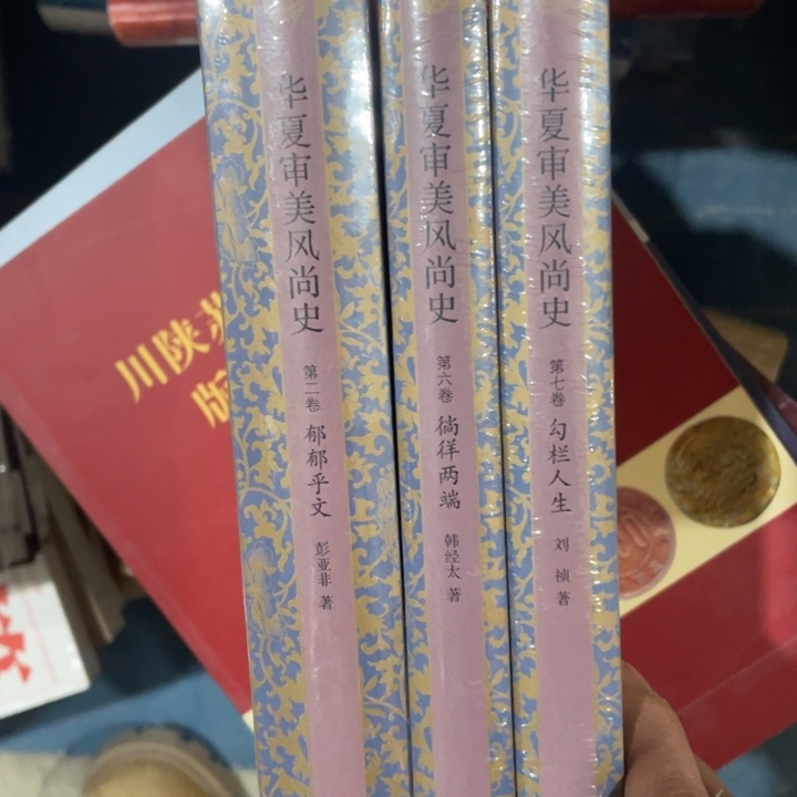 华夏审美风尚史三册合售精装