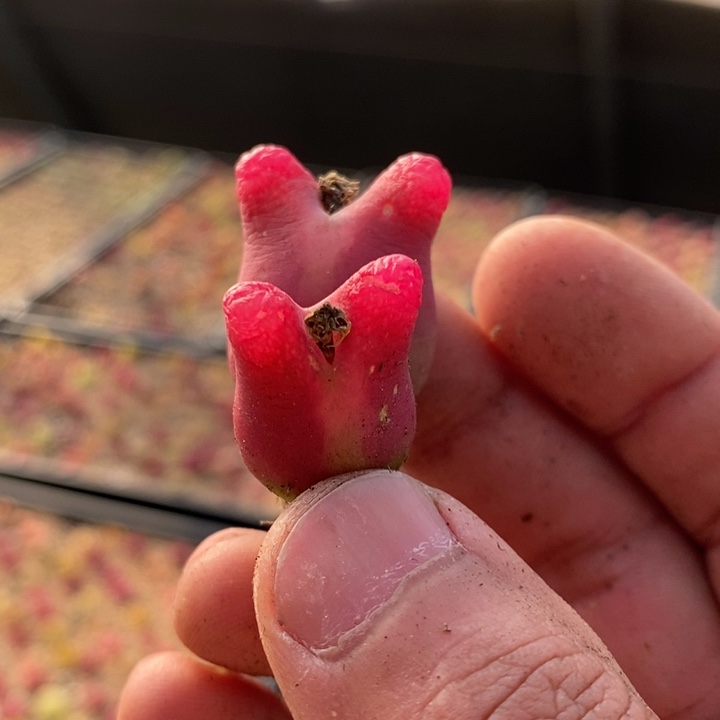 29157一个一个一个