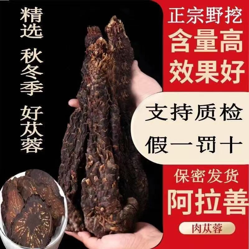 阿拉善所见即所得支持鉴定搭配枸杞