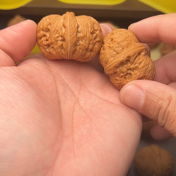 43尺精配矮桩满肉元宝