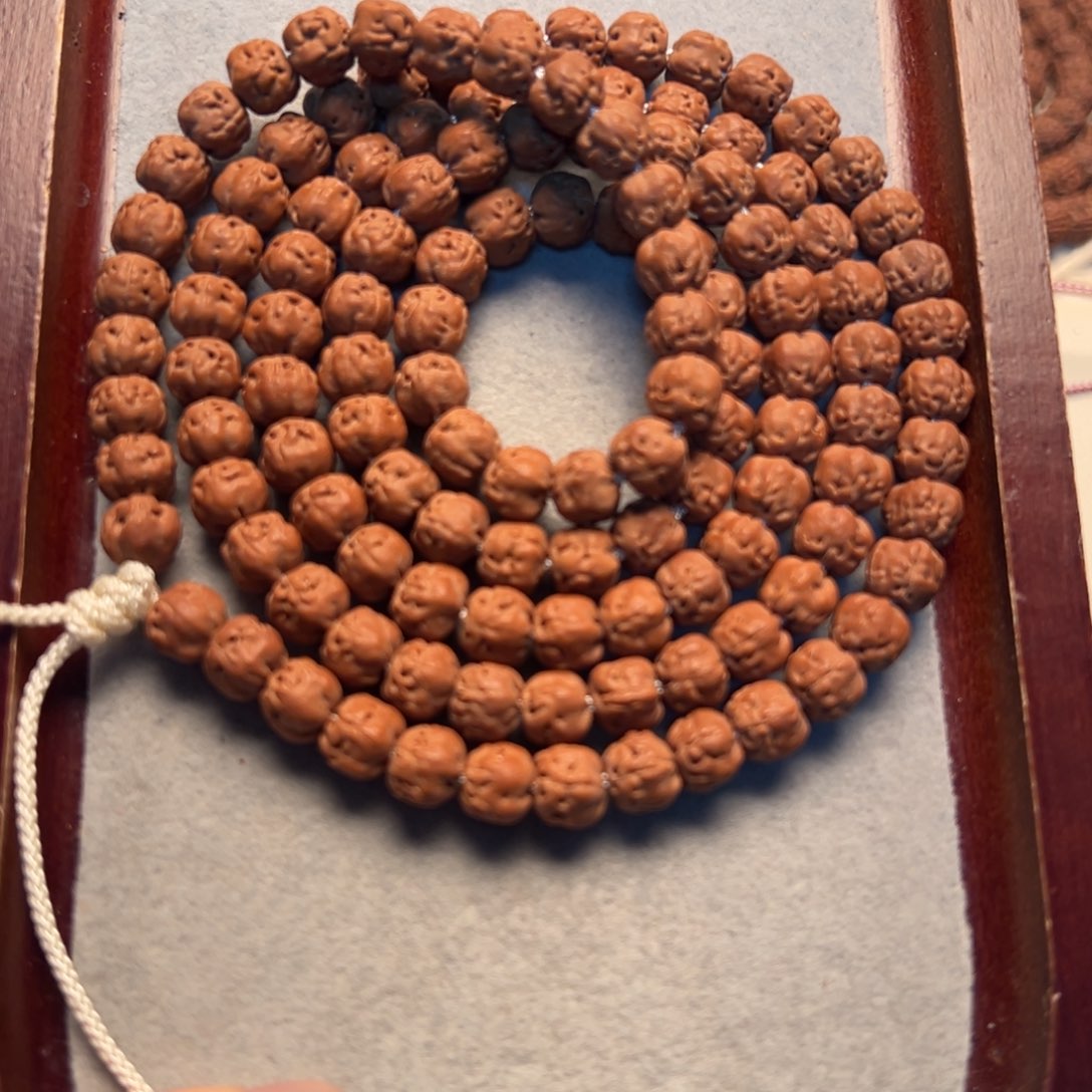 你***γ金刚菩提吊坠88888888888888888888