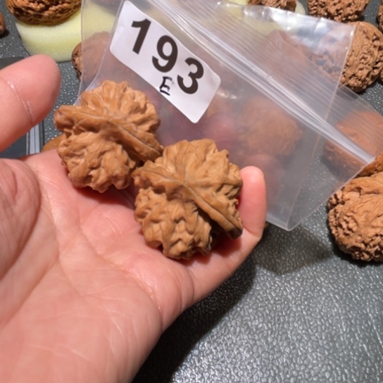 斜***浅文玩核桃把件曹大龙37