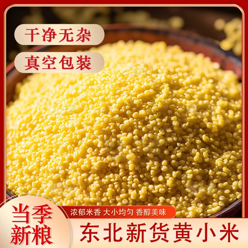 东北黄小米2025新米稷黍糜新谷现磨农家直销大金苗乌拉街月子米