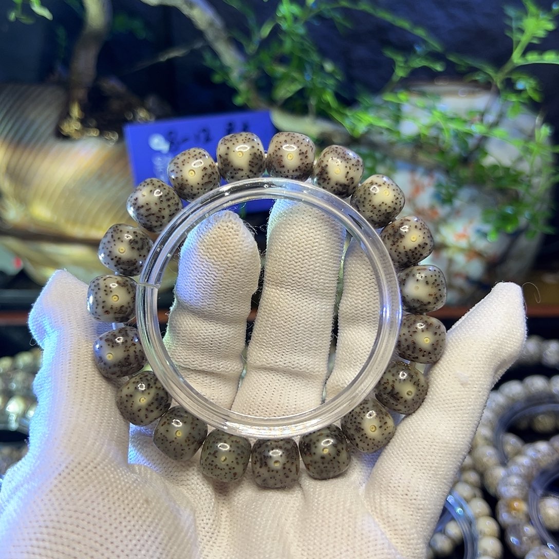 苏***木星月菩提手串海南原生态
