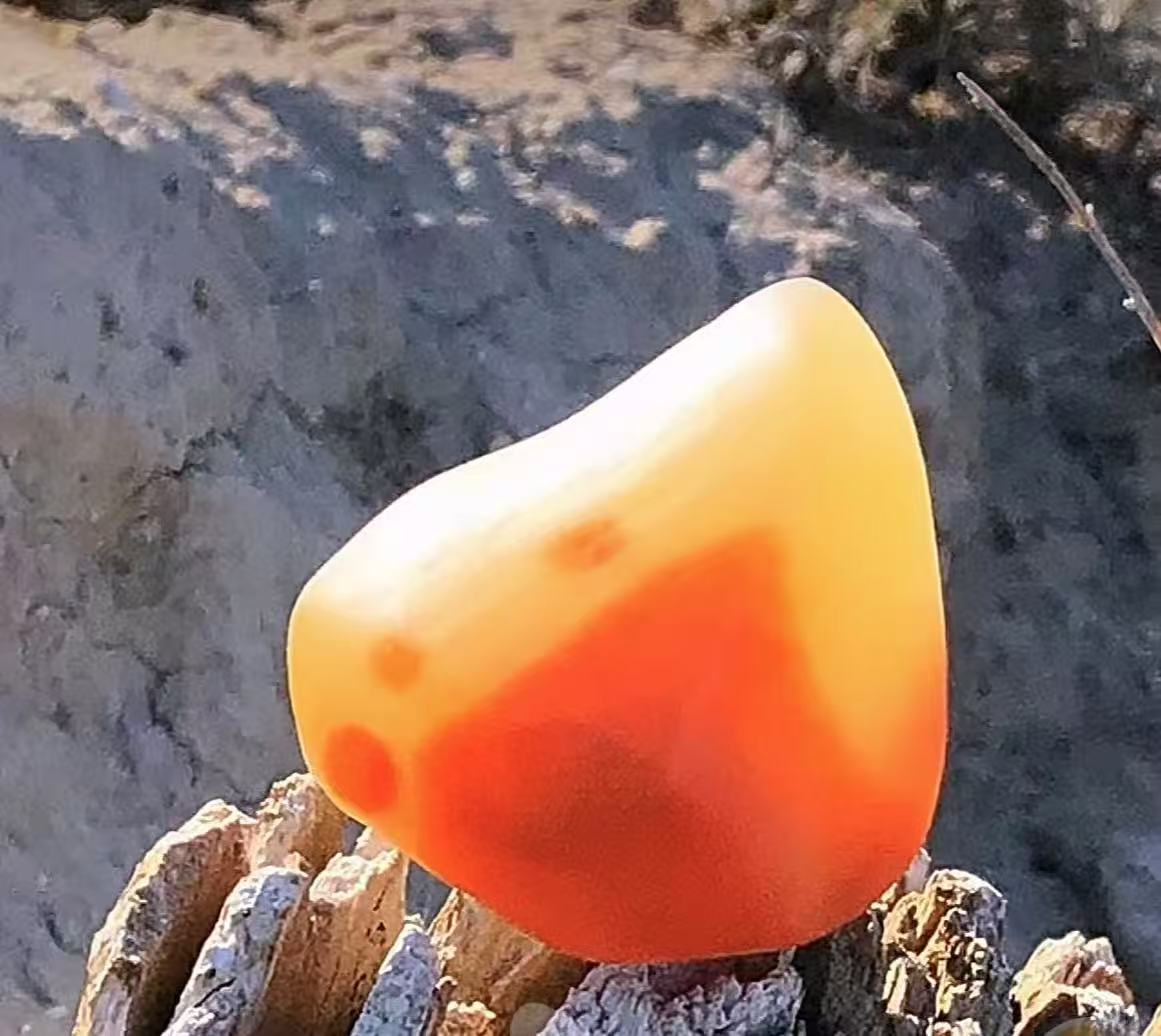 北疆五彩石（不包邮  多样性一件）