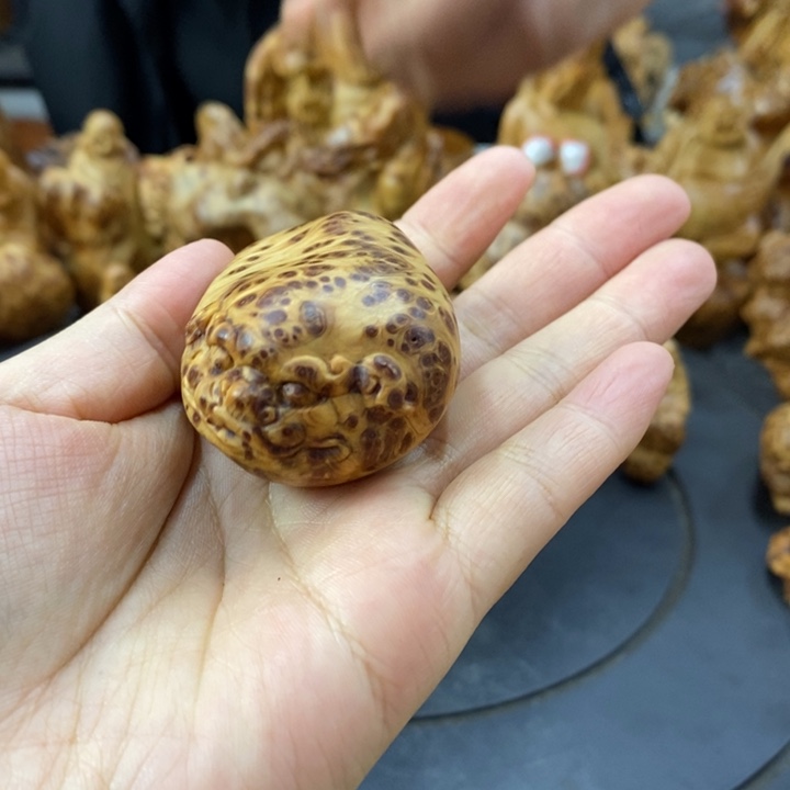 柏木（崖柏）崖柏888