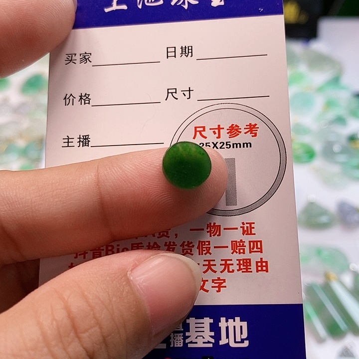 【闪购商品】翡翠颈饰未镶嵌翡翠