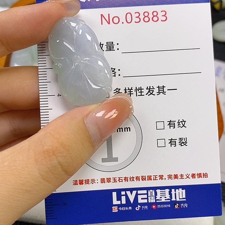 f***y翡翠未镶嵌颈饰翡翠
