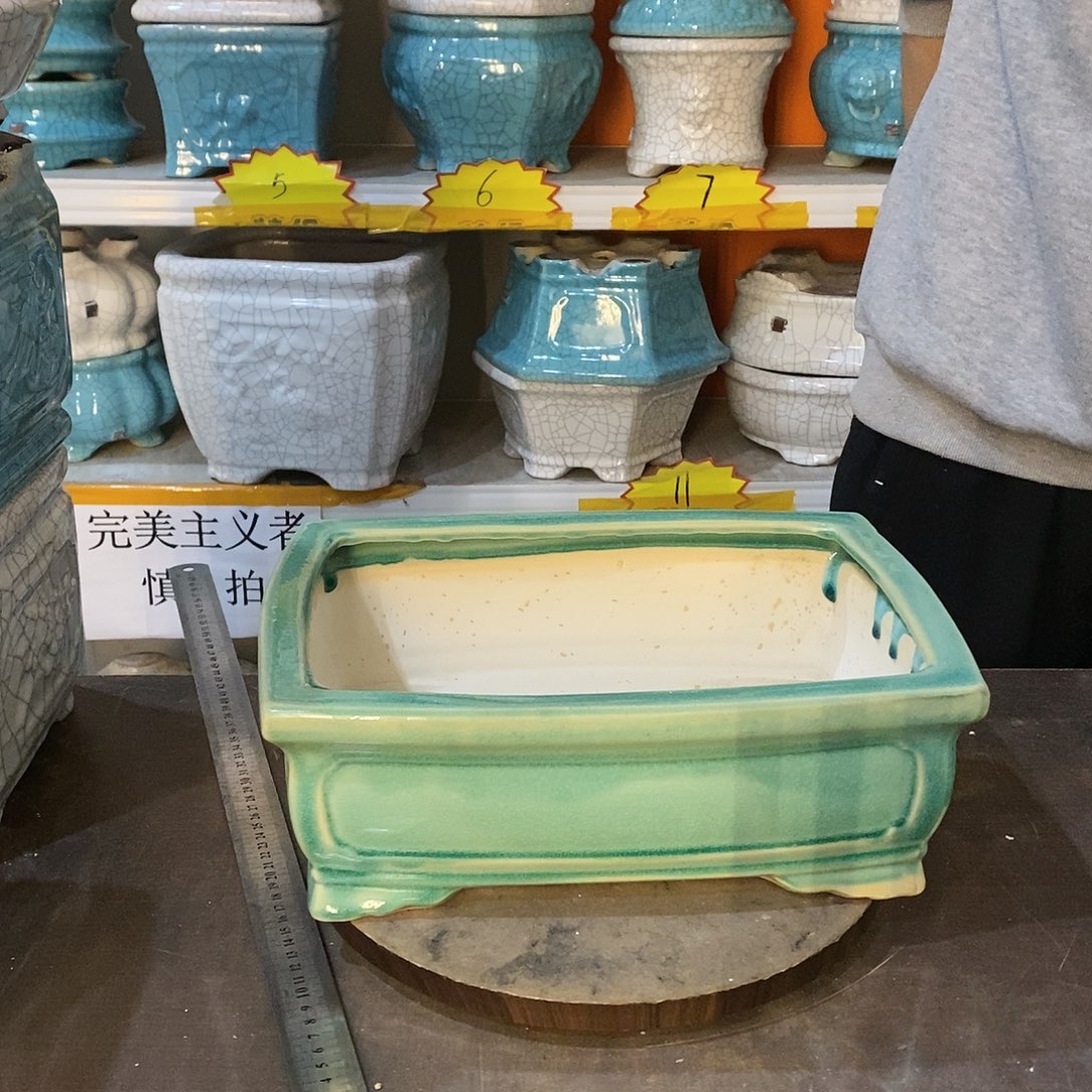 1**9花盆花盆里的花都开