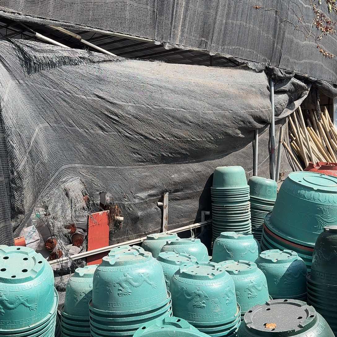 复合50口径铝塑龙盆4个，40口径铝塑龙盆1