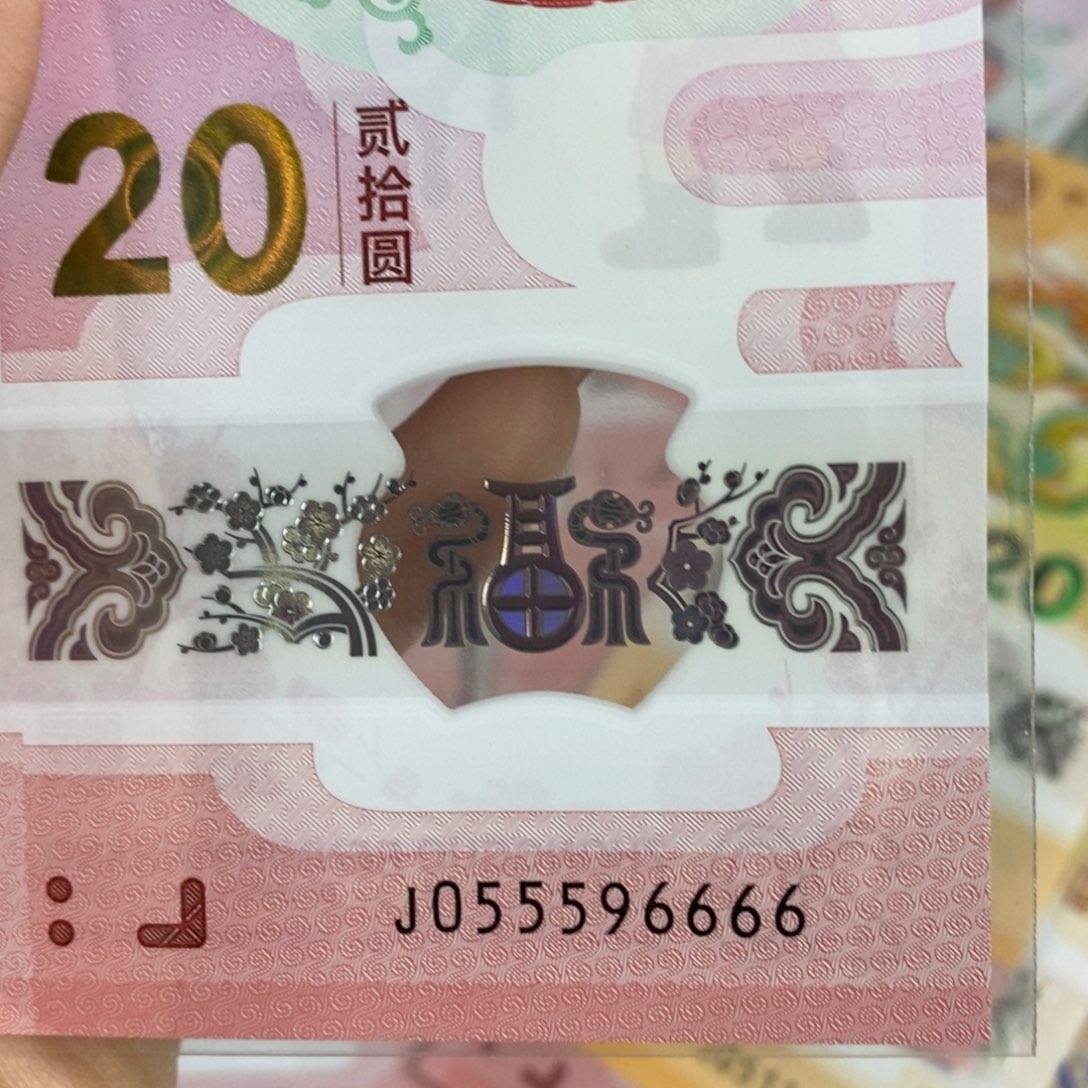 塑料6666。。。。。。。。