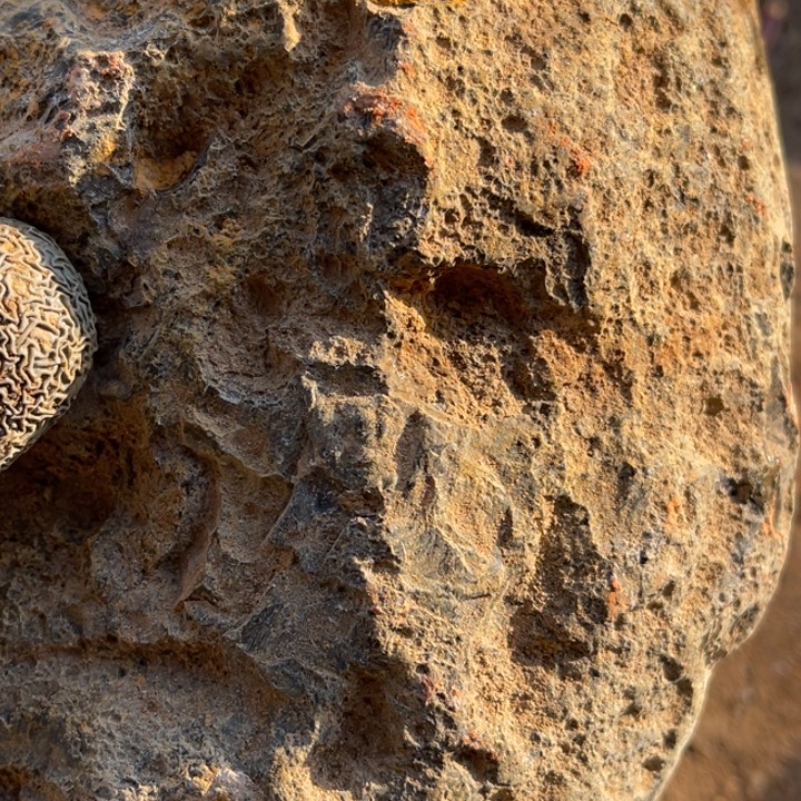 寒***月定制玛瑙玛瑙手镯