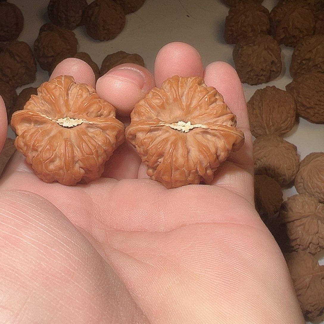 最***测猴头核桃吊坠文玩