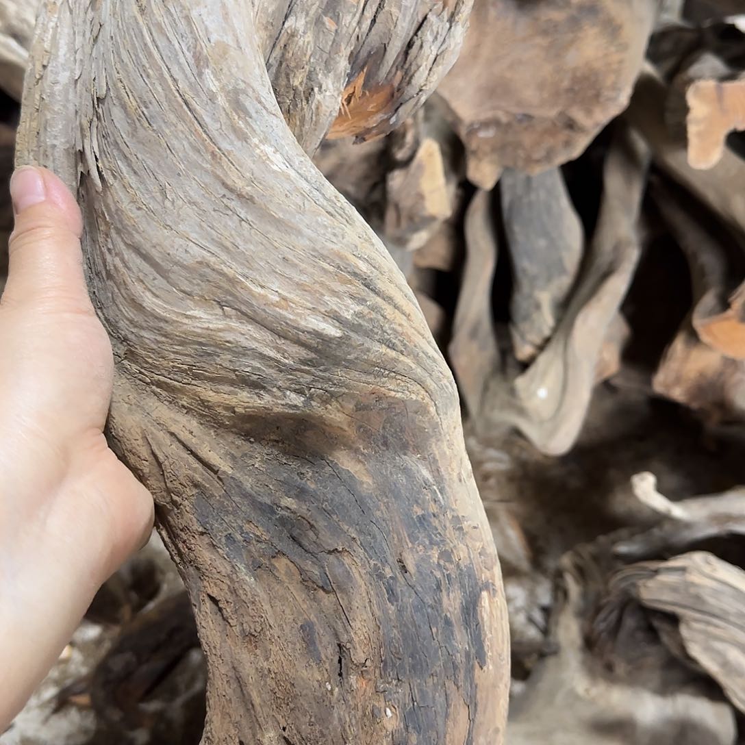 竹***人柏木陈化到位坨坨疙瘩