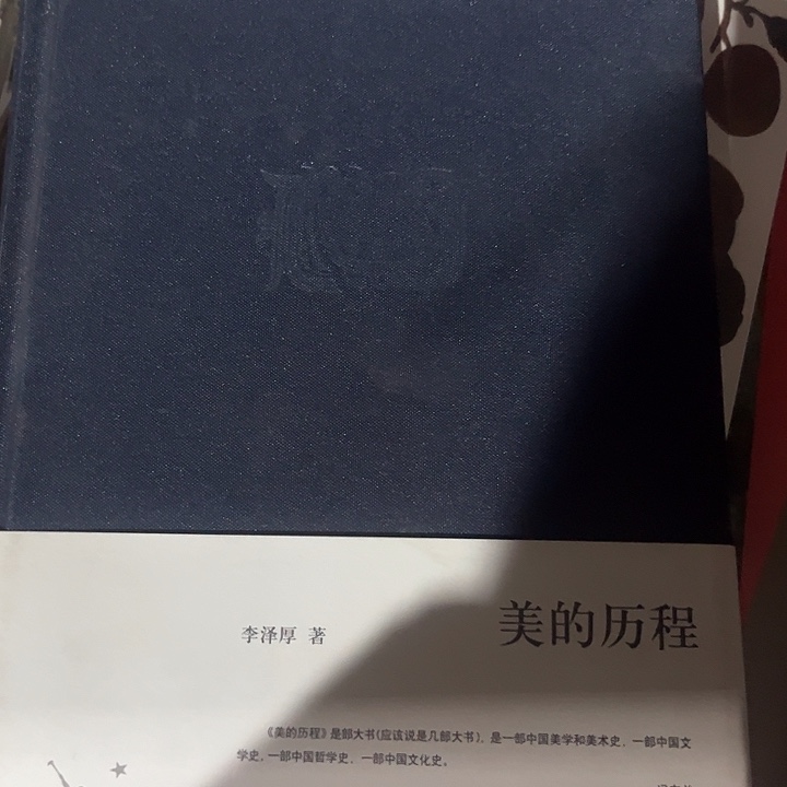 美的历程新书推荐精装