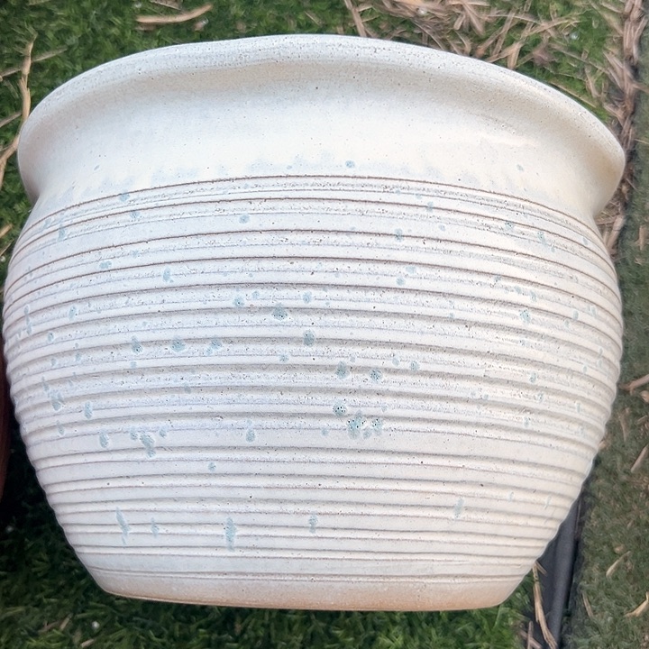 红陶口25高18。。。。。。。