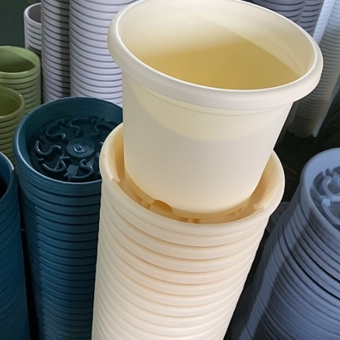 树脂四季2号6个带 托米黄