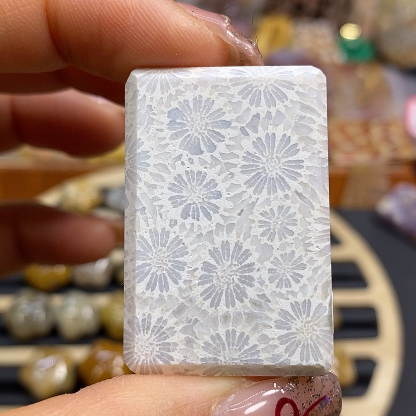 【闪购商品】硅化珊瑚（珊瑚玉）颈饰未镶嵌K98