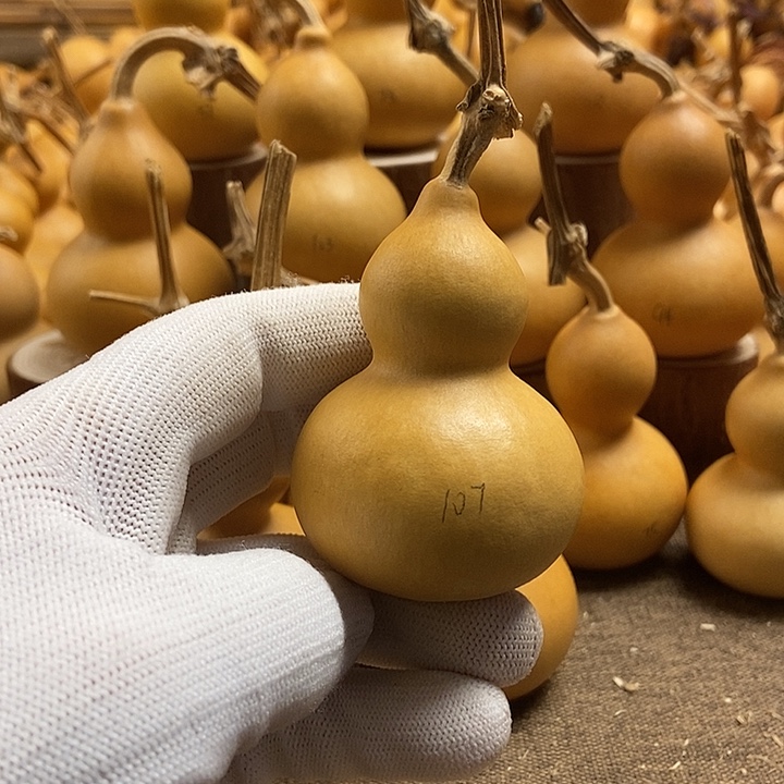 文玩葫芦 完美主义者 慎拍107