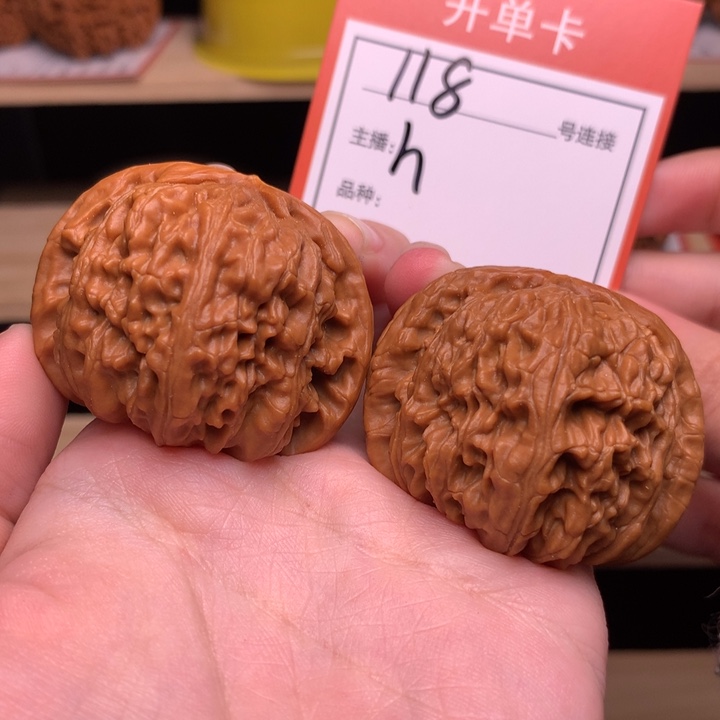 核桃41白狮子118号