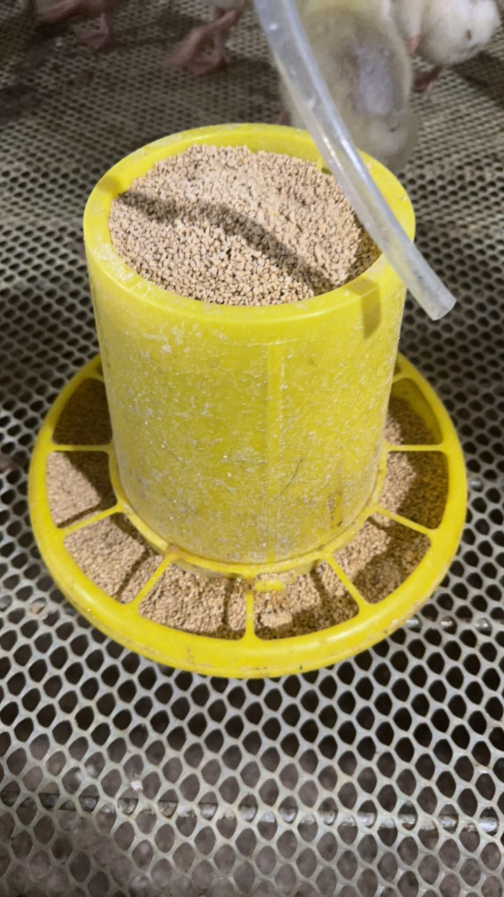 家禽饲料桶 顺丰包邮