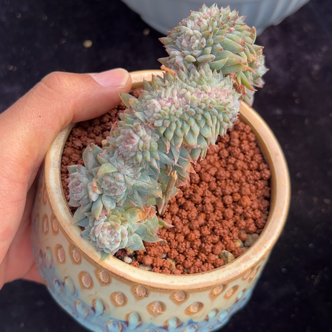 新年快乐 新年快乐