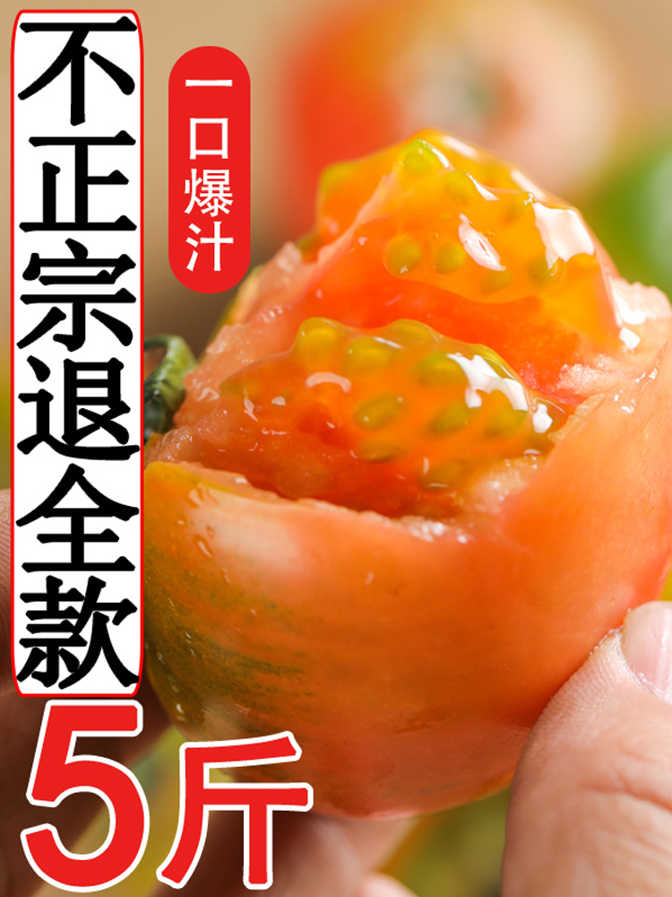 顺丰草莓柿子东北生吃柿子番茄酸甜可口精品礼盒现发新鲜果5斤