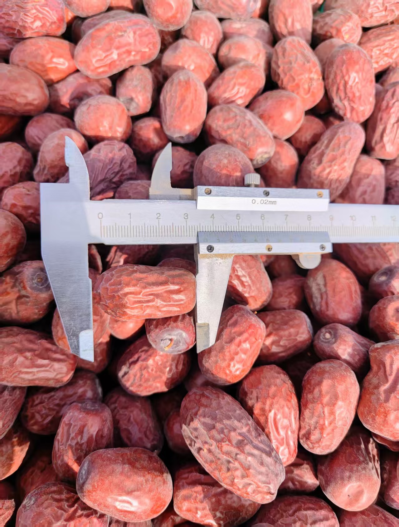 二三级2.5-3.8厘米原生态树上吊干原产地直发正宗和田大枣