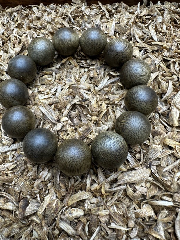 沉香木【金茂文玩】 361沉香木作文创精品