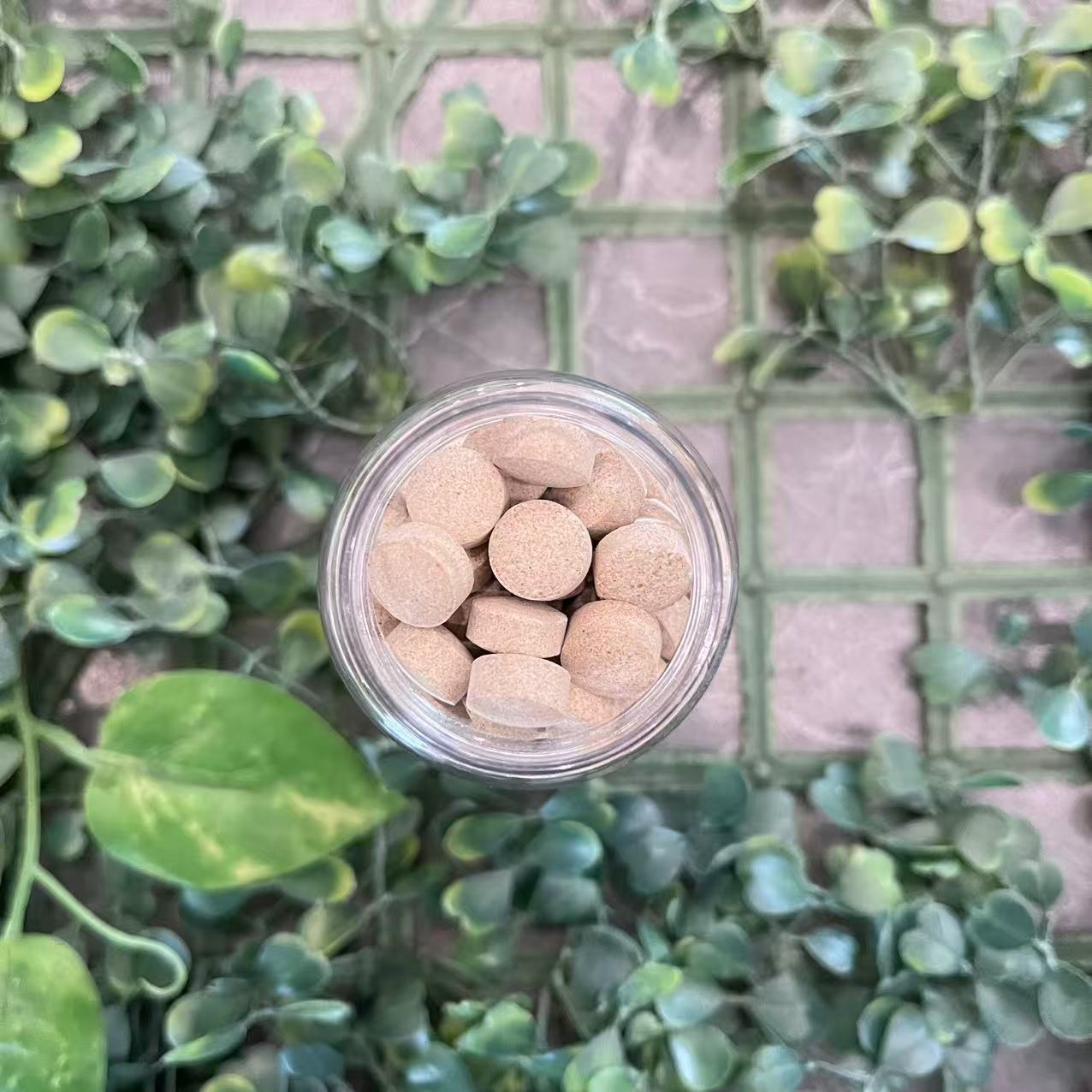 雨腾古茶 北X和“ AI ”J华 绝S 黑J珍珠小Y 60g/罐（12月25）