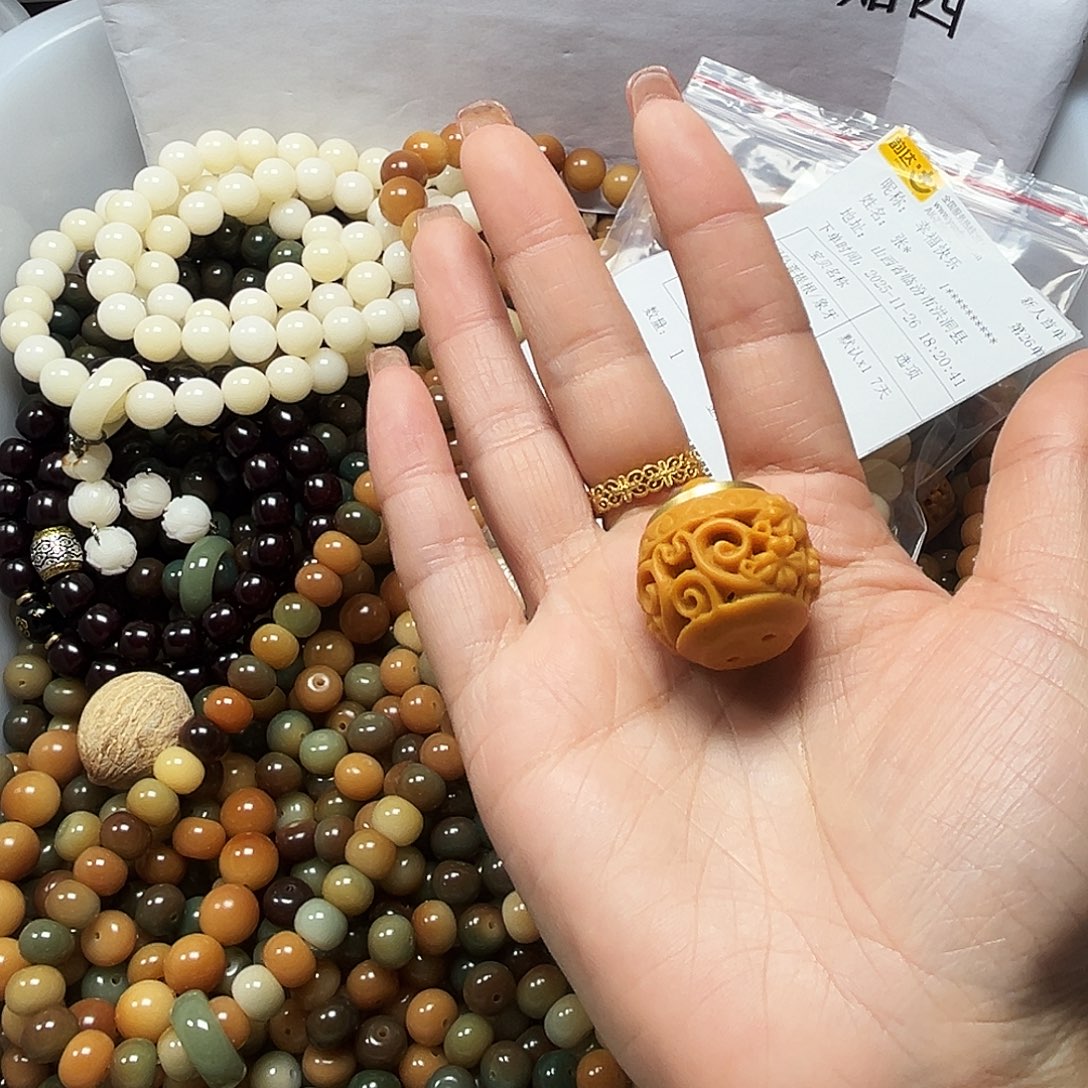 吊坠菩提根/象牙果