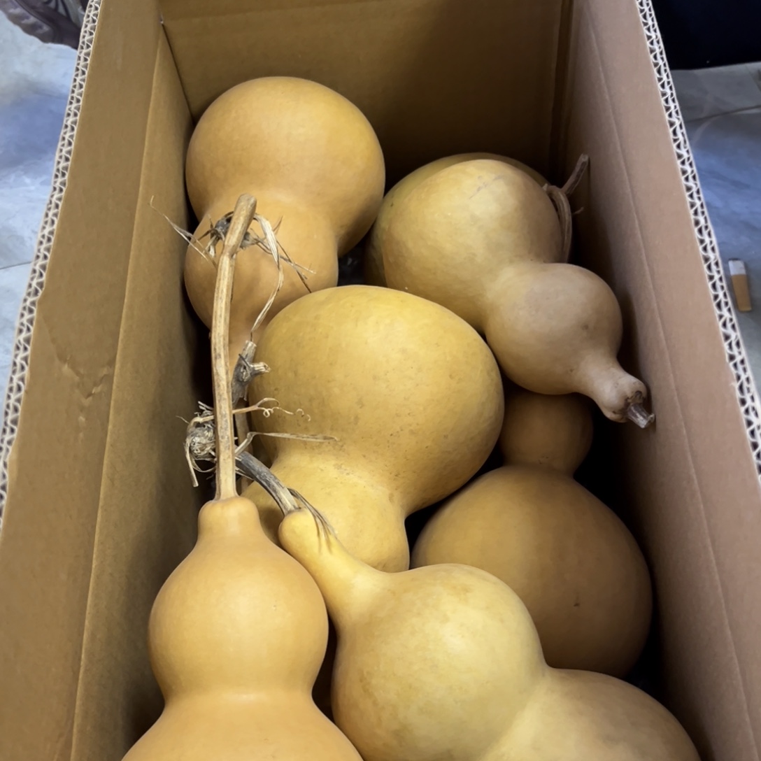 风***爱有机玻璃葫芦葫芦