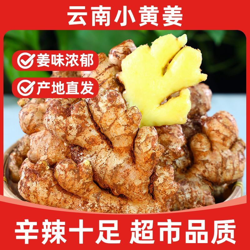 【产地直发】正宗云南小黄姜新鲜现挖带泥保鲜老姜月子姜产地直发