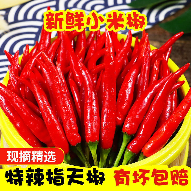 云南正宗小米辣新鲜现摘魔鬼辣超辣爆辣可用于泡椒餐饮优质辣椒