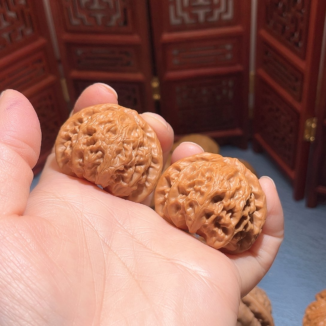 40.5全品宫灯，邢台老树……