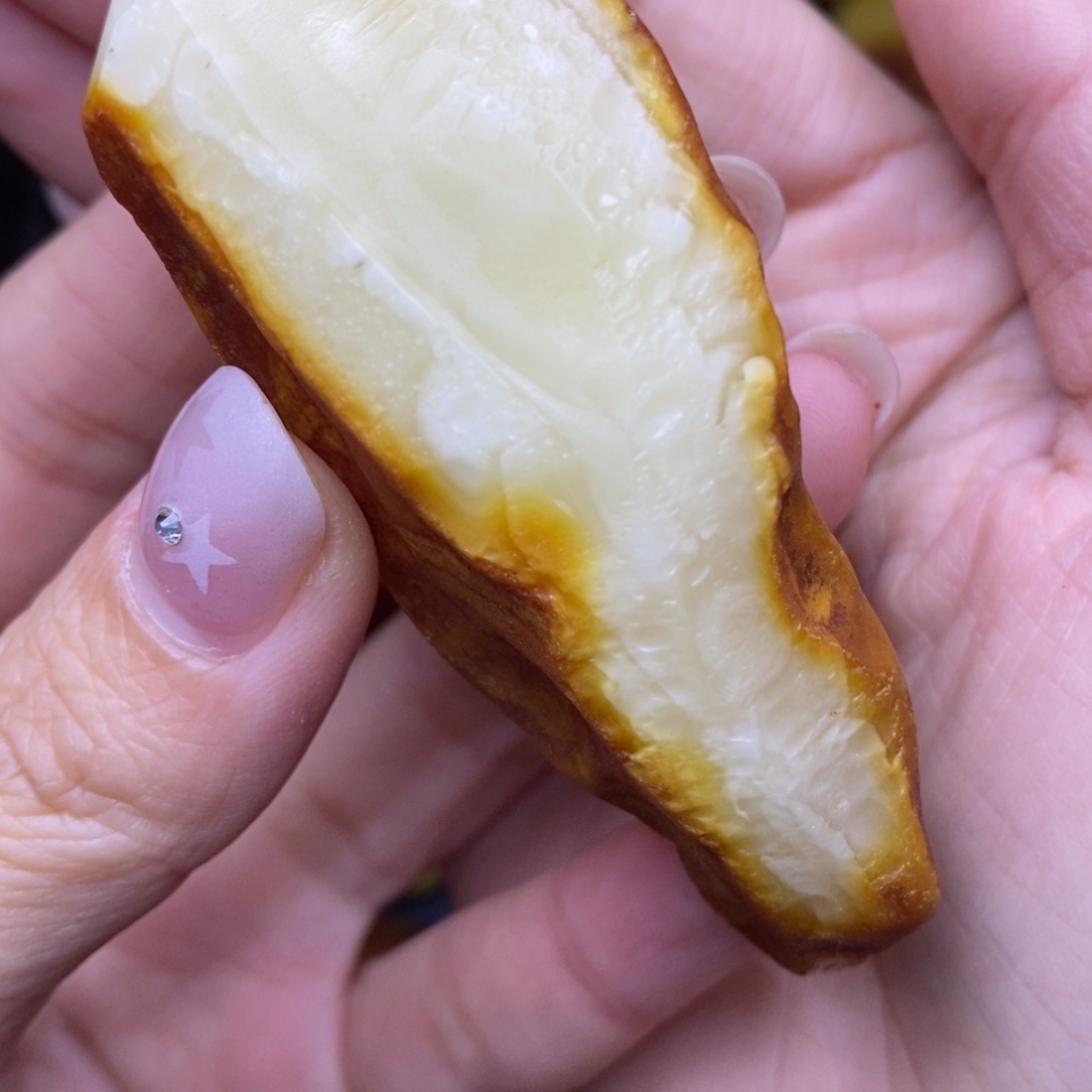 未镶嵌定制蜜蜡仁****水胖