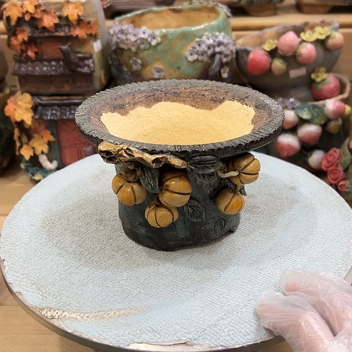 芭***田青藤多肉花盆百搭