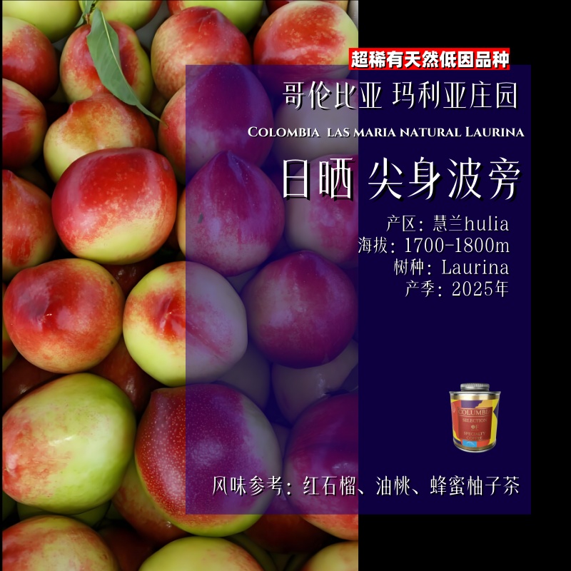 <天然低因>哥伦比亚.玛利亚庄园.日晒.尖身波旁.精品咖啡豆