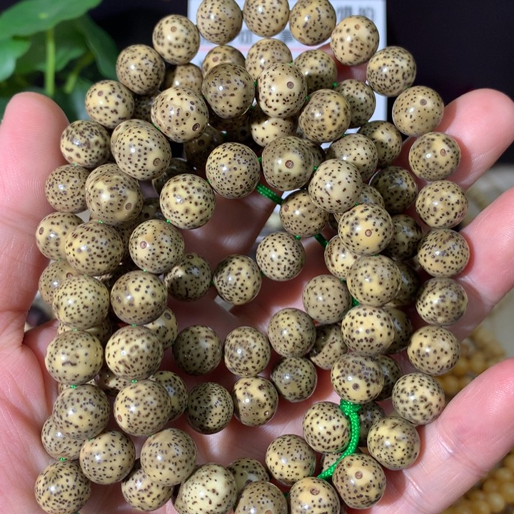 星月菩提手串原生态