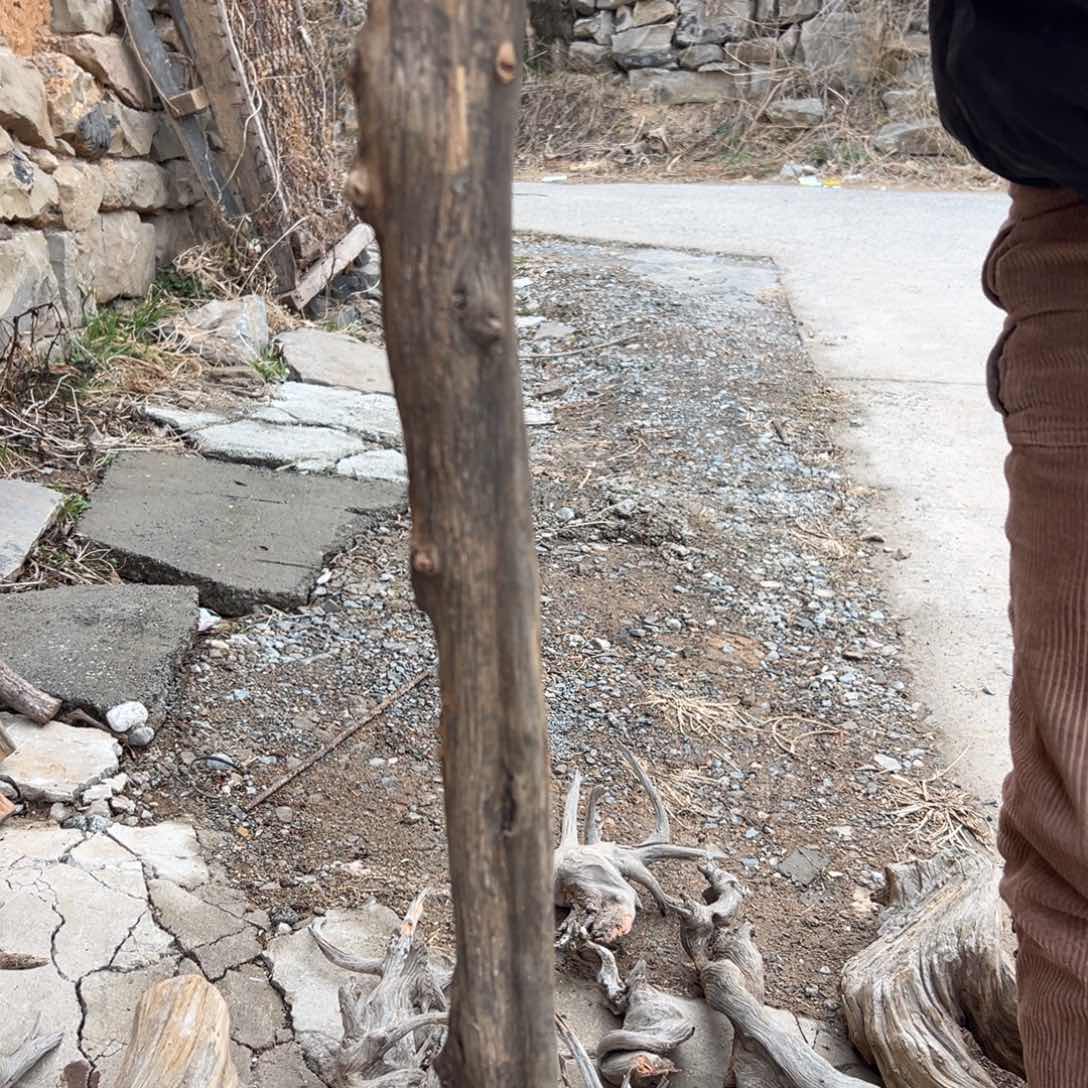 柏木（崖柏）e****1文玩根雕 