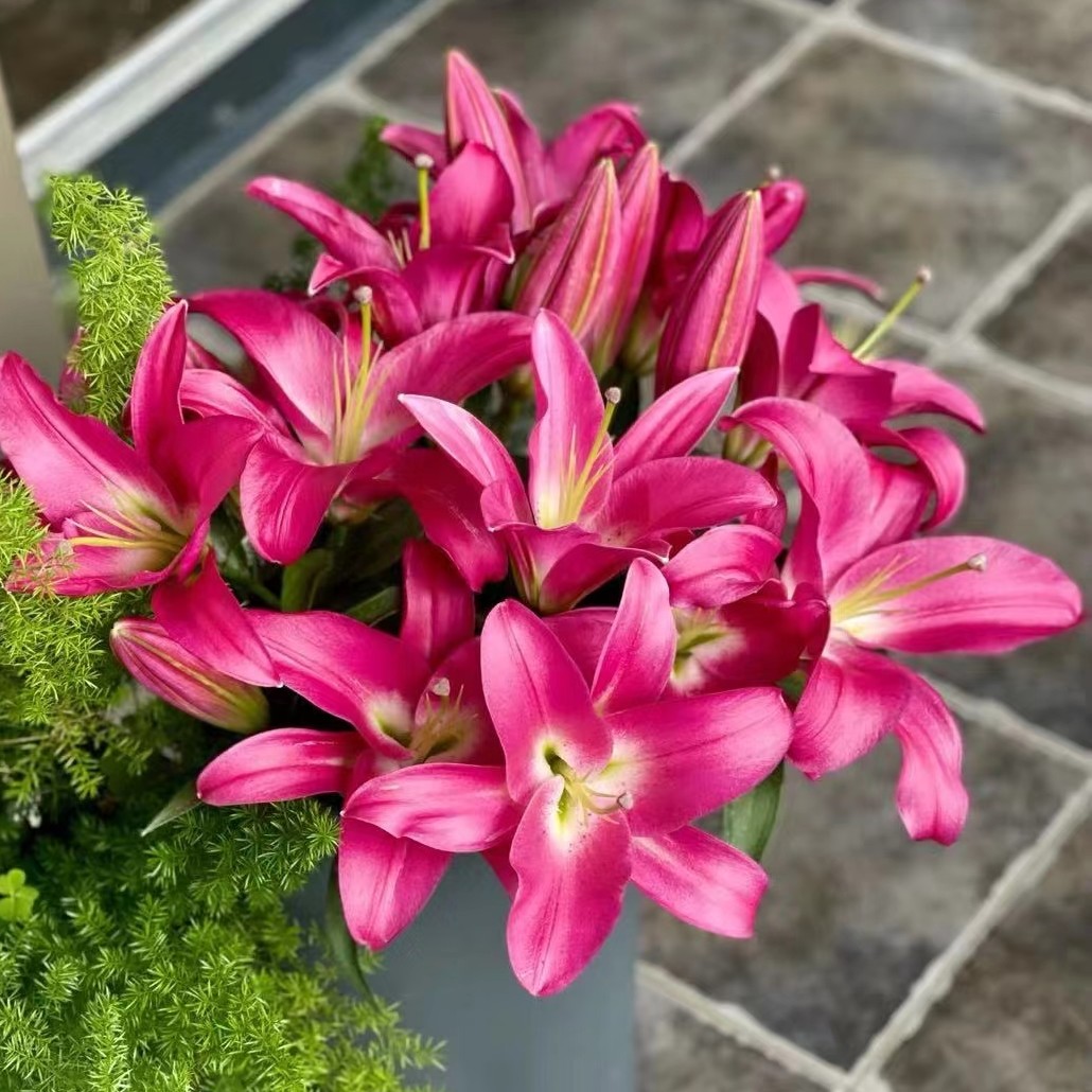 【竞争】鲜花直播间现场直播卖花香水百合鲜切花东北发货顺丰包邮