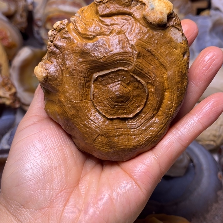 云****石材马达加斯加缠丝玛瑙