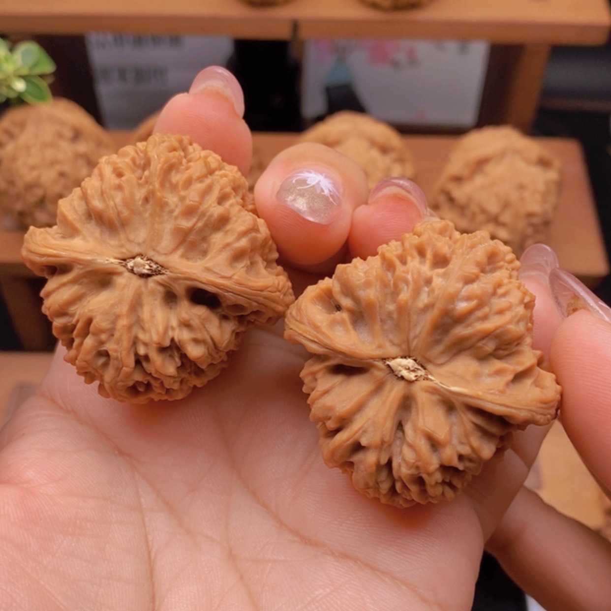【闪购商品】老*家17。涿鹿南疆石。边，41